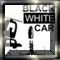 Jeu Voiture noire ou blanche