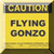 Jeu en ligne - Flying Gonzo