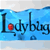 Jeu Lady Bug