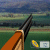 Jeu en ligne - Skeet Shooting