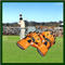 Jeu en ligne - Test Catch Cricket